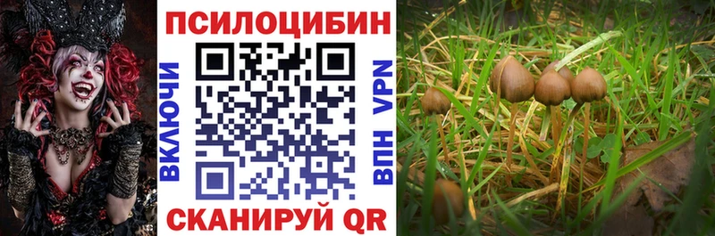 Галлюциногенные грибы Psilocybe  Сибай 